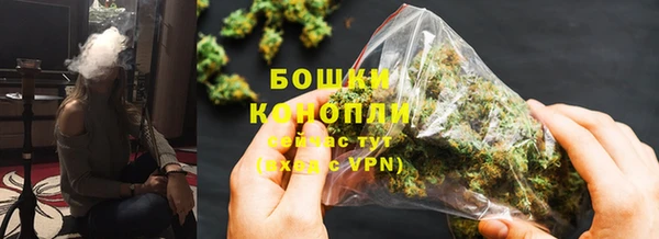 гидропоника Дедовск