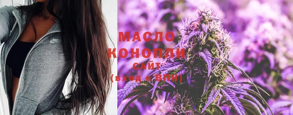 индика Абдулино