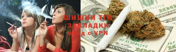 индика Абдулино