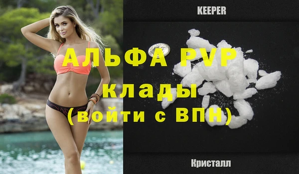 индика Абдулино