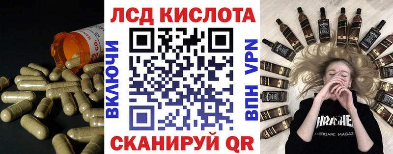 кракен ссылки Пудож ЛСД экстази кислота