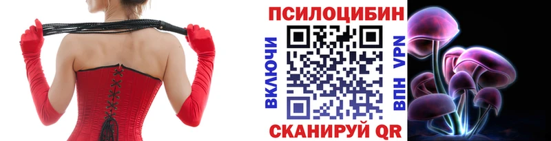 Галлюциногенные грибы ЛСД  Пудож 